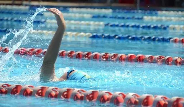 2019浩沙杯青少年游泳冠军赛,第六届厦金青少年游泳大赛