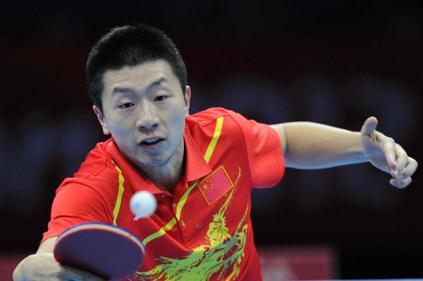 藏獒张继科马龙,藏獒张继科