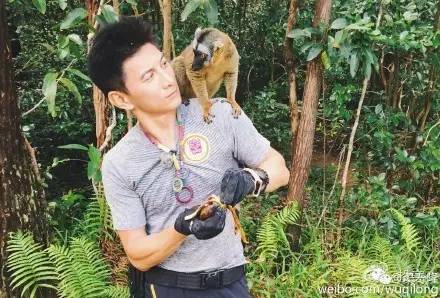 抢占过亿点击IP！这家上市公司教你四招打造单款爆品