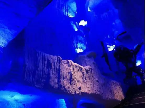 重磅！魔都50家营业到0点后的深夜食堂，这本宵夜大全请收好！