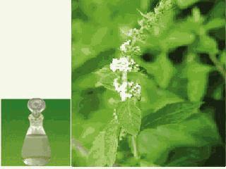 家中有这些药物吗？快放到冰箱里吧！