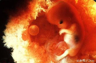 孕检临床诊断先兆流产怎么回事,流产胎儿基因检测