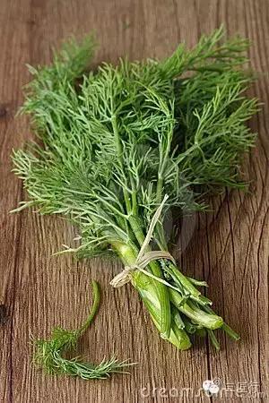 西餐里的那些“杂草”都是啥？一篇文章带你认识香草