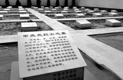 异国他乡身陷绝境完整版,异国他乡生死逃亡