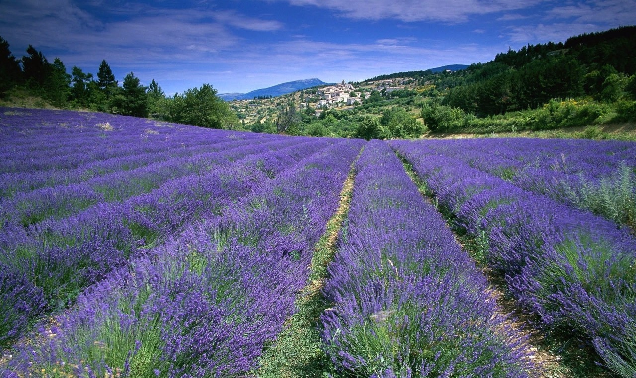 险过独库，美过101，伊犁还私藏着这样一条经典之路！