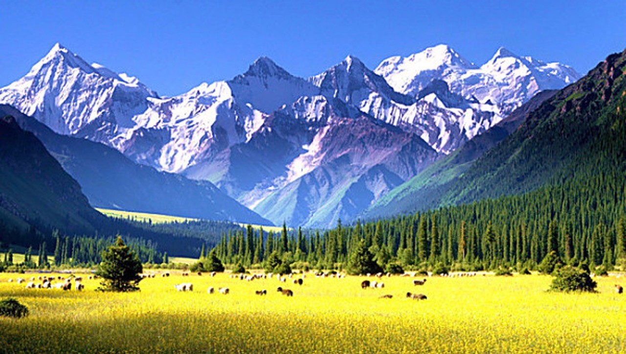 险过独库，美过101，伊犁还私藏着这样一条经典之路！