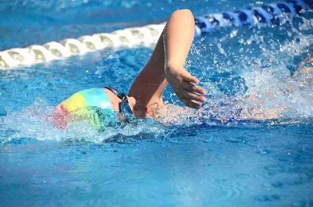 2019浩沙杯青少年游泳冠军赛,第六届厦金青少年游泳大赛