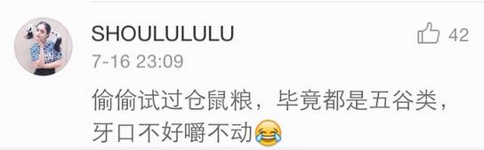 几乎无差评的猫粮狗粮,试吃狗粮猫粮