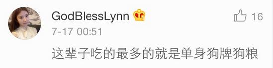 几乎无差评的猫粮狗粮,试吃狗粮猫粮