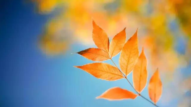 修行究竟能看到什么,修行好不好