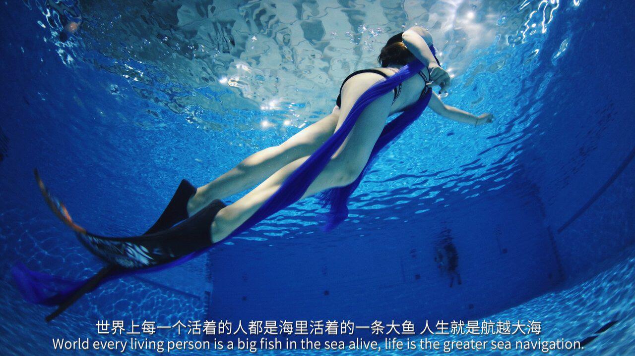 水母死后会变成水不留痕迹,水母死后真的会变成一滩水吗