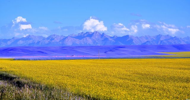 一起去大西北流浪,一起去大西北沙漠