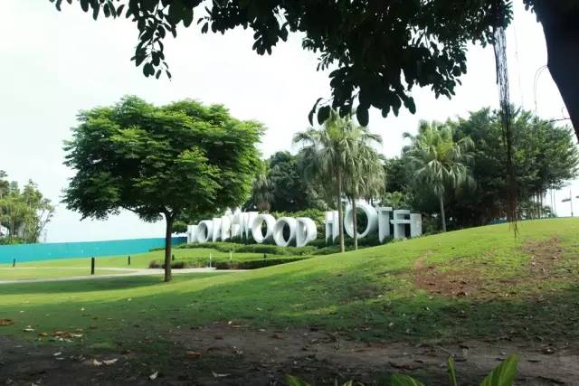 迪士尼好莱坞酒店什么可以带走,迪士尼好莱坞酒店标准房