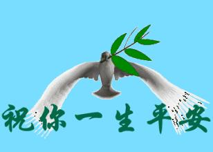 睡前五粒丹参片 (睡前吃五片丹参预防什么)