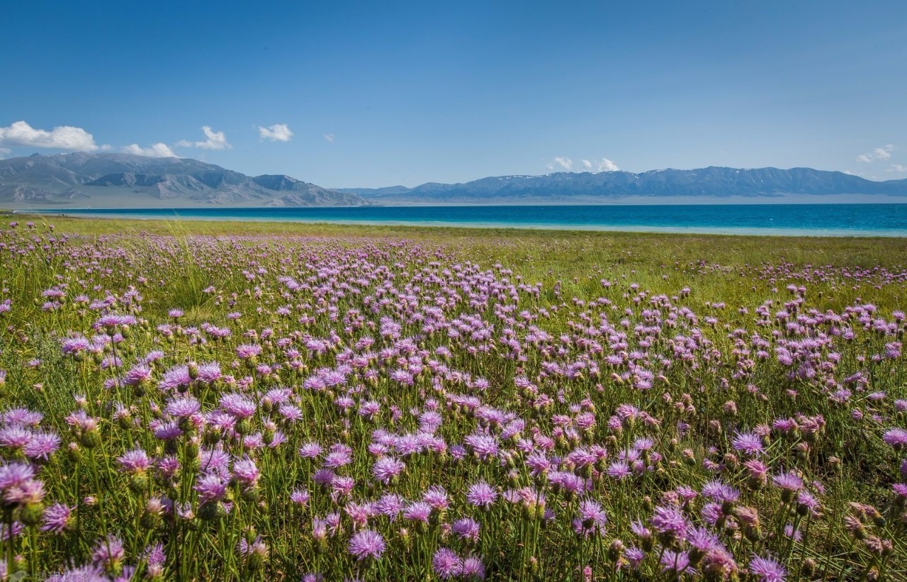 险过独库，美过101，伊犁还私藏着这样一条经典之路！