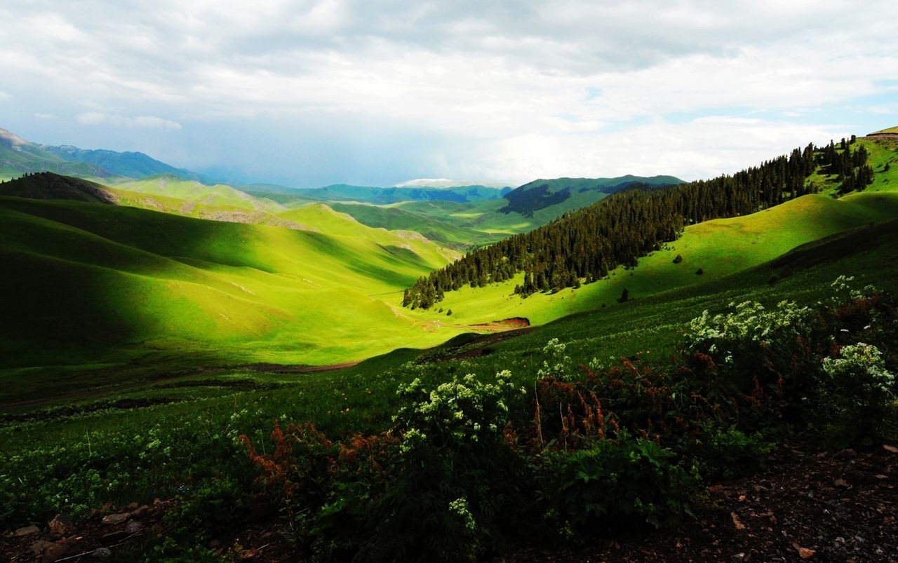 险过独库，美过101，伊犁还私藏着这样一条经典之路！