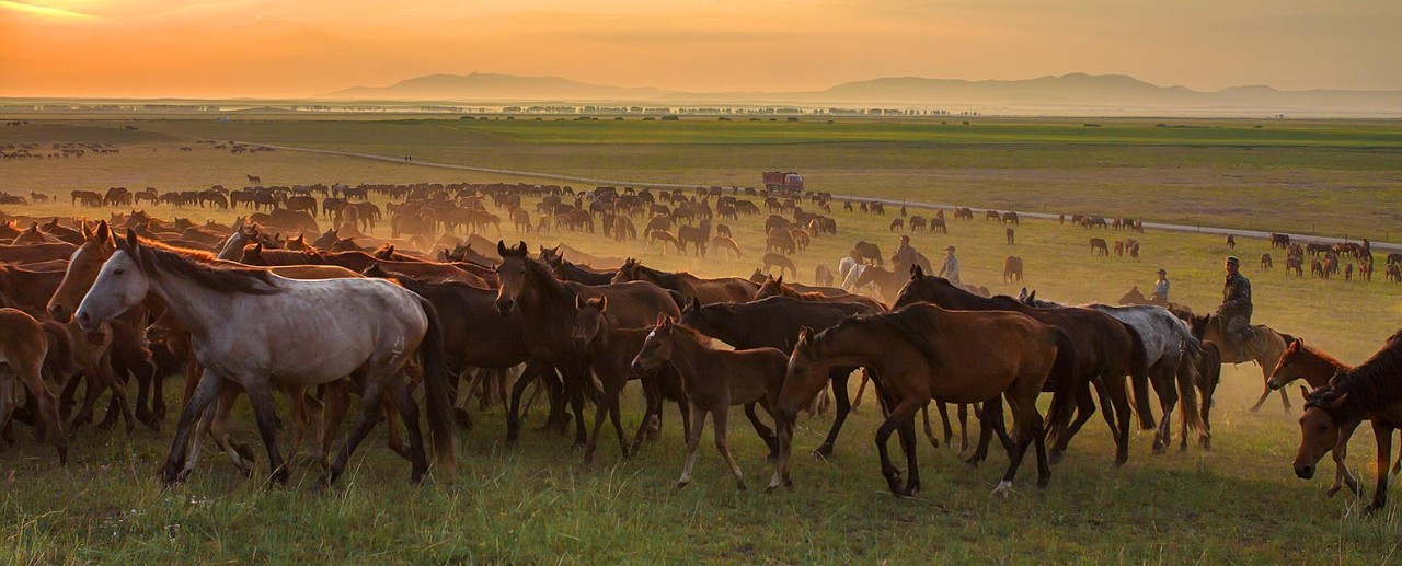 险过独库，美过101，伊犁还私藏着这样一条经典之路！