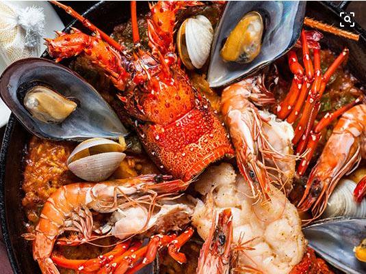 观赏虾十大入门级,观赏虾最漂亮的一种