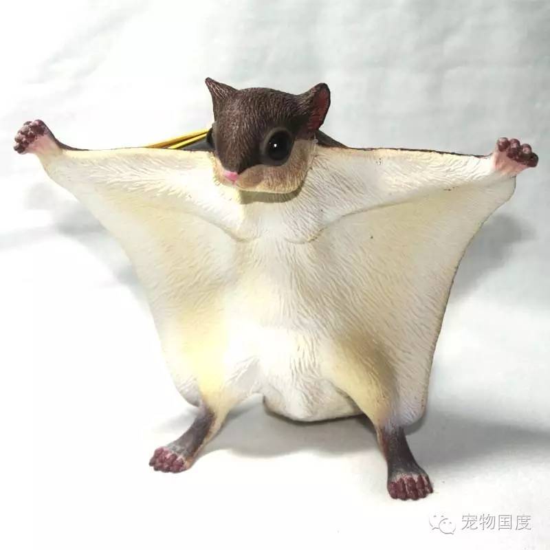 奇形怪物图片,奇形怪物是怎样的