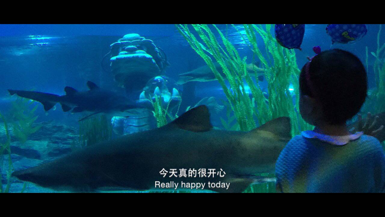 水母死后会变成水不留痕迹,水母死后真的会变成一滩水吗