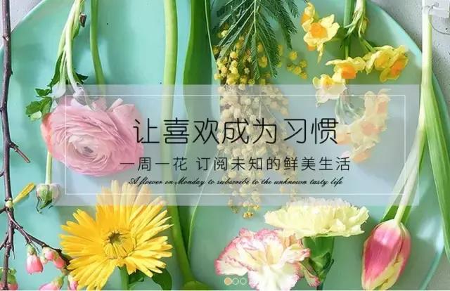 鲜花电商第一股,鲜花电商的市场策略有哪些