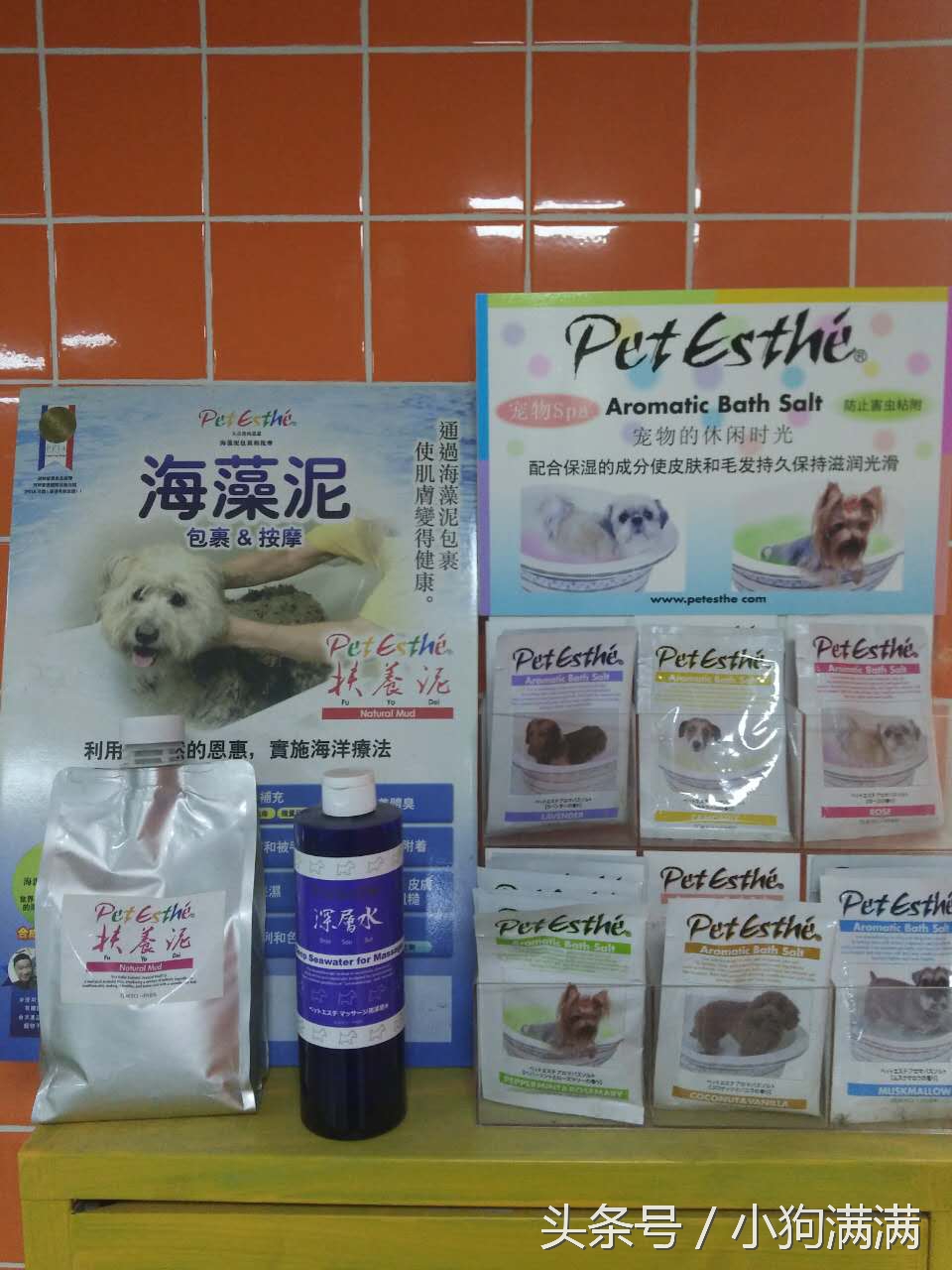 狗狗spa浴缸正确使用方法,自己在家给狗狗做spa