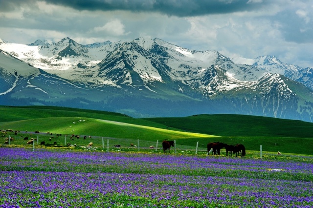 一起去大西北流浪,一起去大西北沙漠