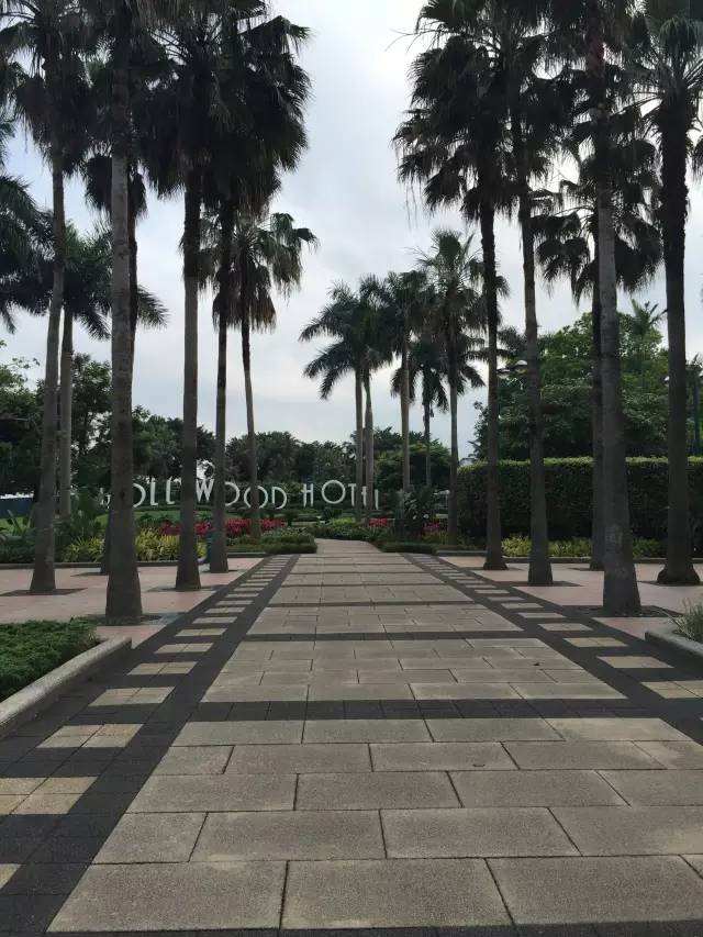 迪士尼好莱坞酒店什么可以带走,迪士尼好莱坞酒店标准房