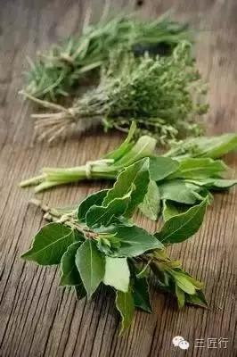 西餐里的那些“杂草”都是啥？一篇文章带你认识香草