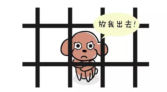 狗狗艾米搞破坏,狗狗为什么在家里搞破坏