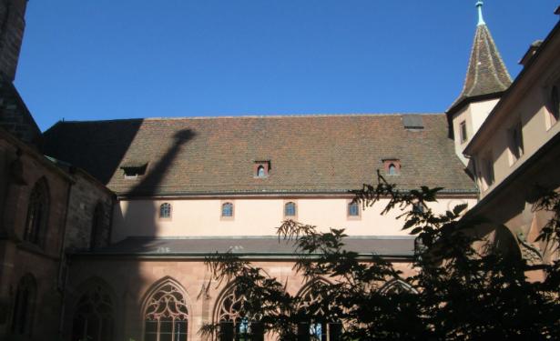 足球推荐佛罗伦萨vs巴塞尔,巴塞尔是哪国俱乐部的