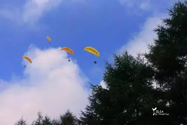 当百里荒遇上山楂树，预“谋”最纯爱的告白