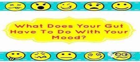 情绪会影响肠胃哪些不适,情绪会影响肠道