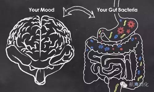 情绪会影响肠胃哪些不适,情绪会影响肠道
