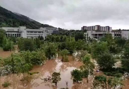 重庆暴雨一觉醒来看海,重庆暴雨看海