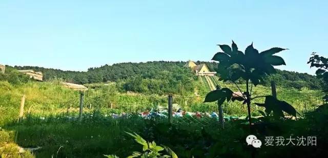 隐藏在辽宁沈阳的避暑胜地,这个夏天沈阳避暑的绝佳去处