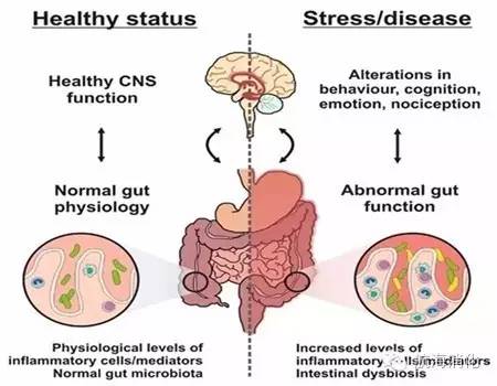 情绪会影响肠胃哪些不适,情绪会影响肠道
