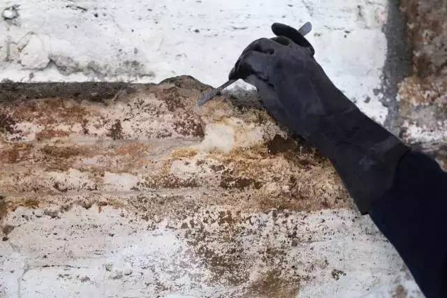 这些大牌告诉你:真正的意大利制造不光有钱任性，而且有情有义!