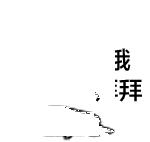《太子妃》挂了，绿王上线，n年前上康熙时，他和小s。。。。