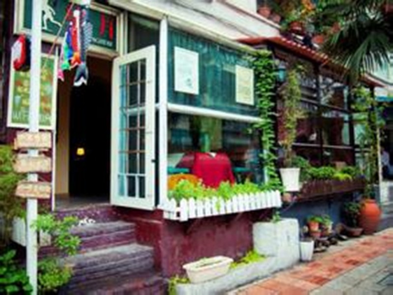 成都雨天约会适合去哪玩,成都下雨和朋友去哪玩