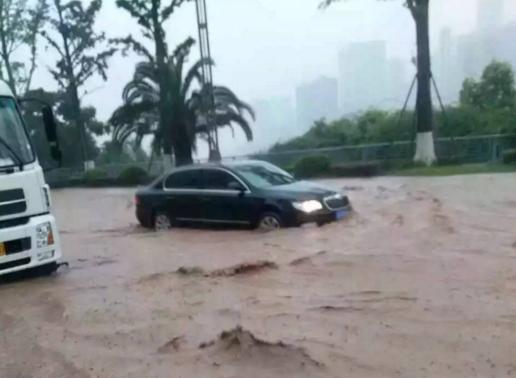 重庆暴雨一觉醒来看海,重庆暴雨看海