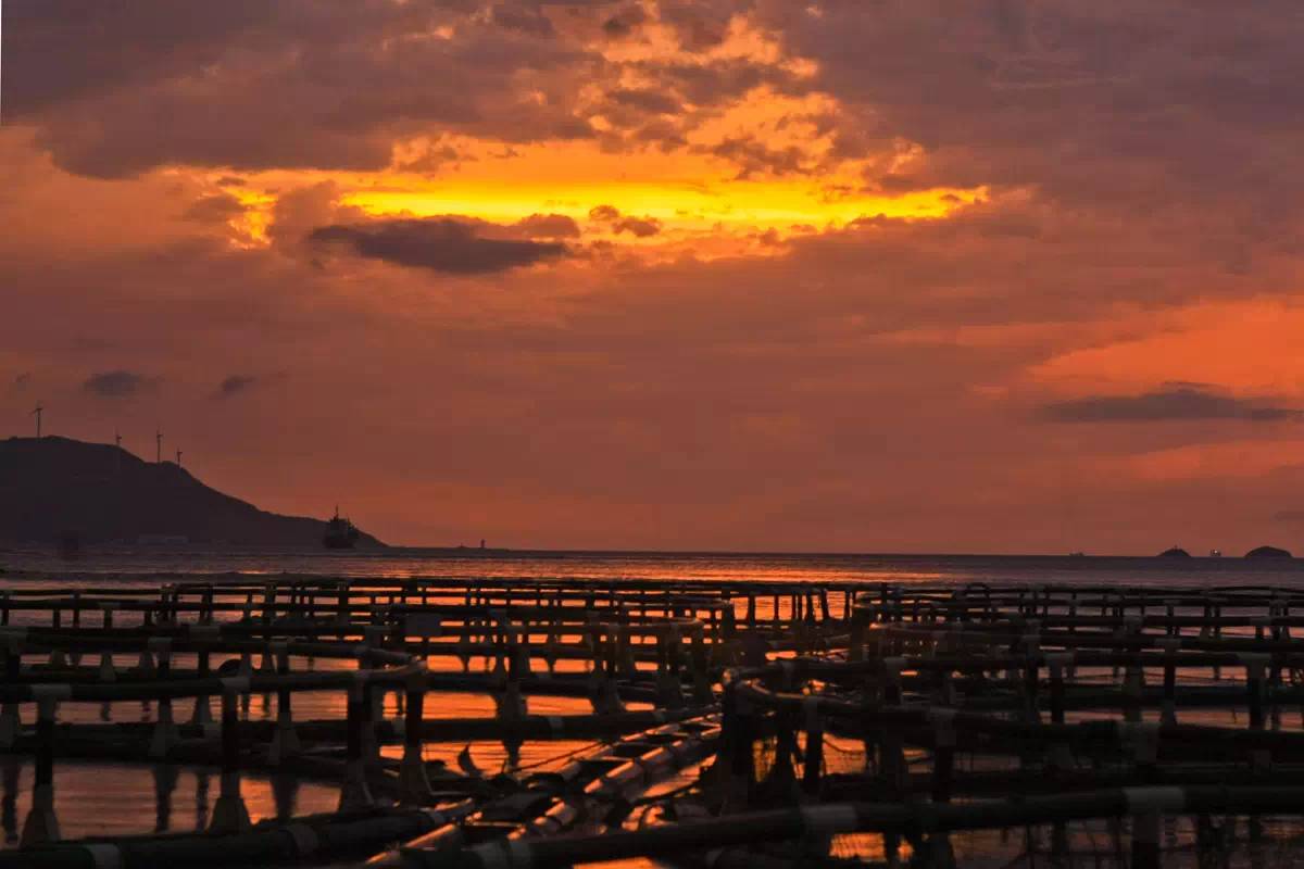 舟山自驾游5天攻略大全图,舟山群岛自驾攻略最佳线路