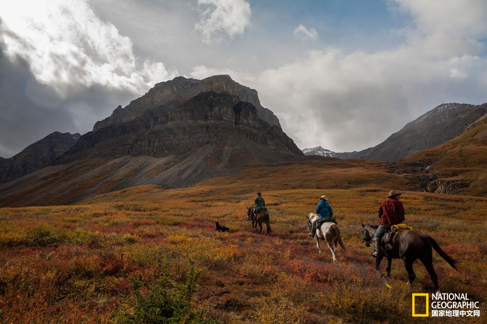要说文化够多元，加拿大绝对算一个！