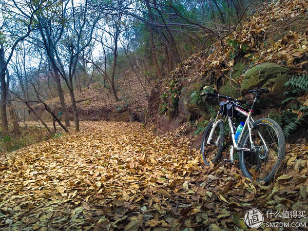 户外运动打底衣评测,icebreaker冲锋衣