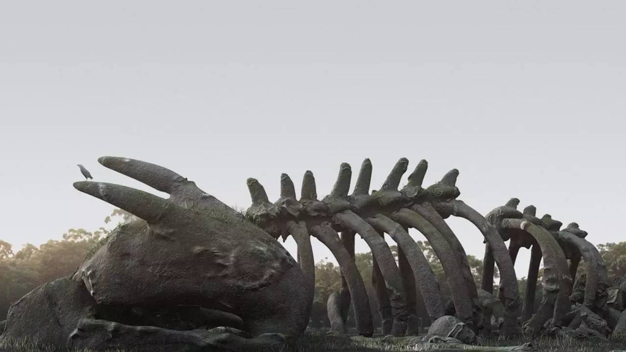 绿帽子林克成最大赢家“E32016”获奖名单出炉