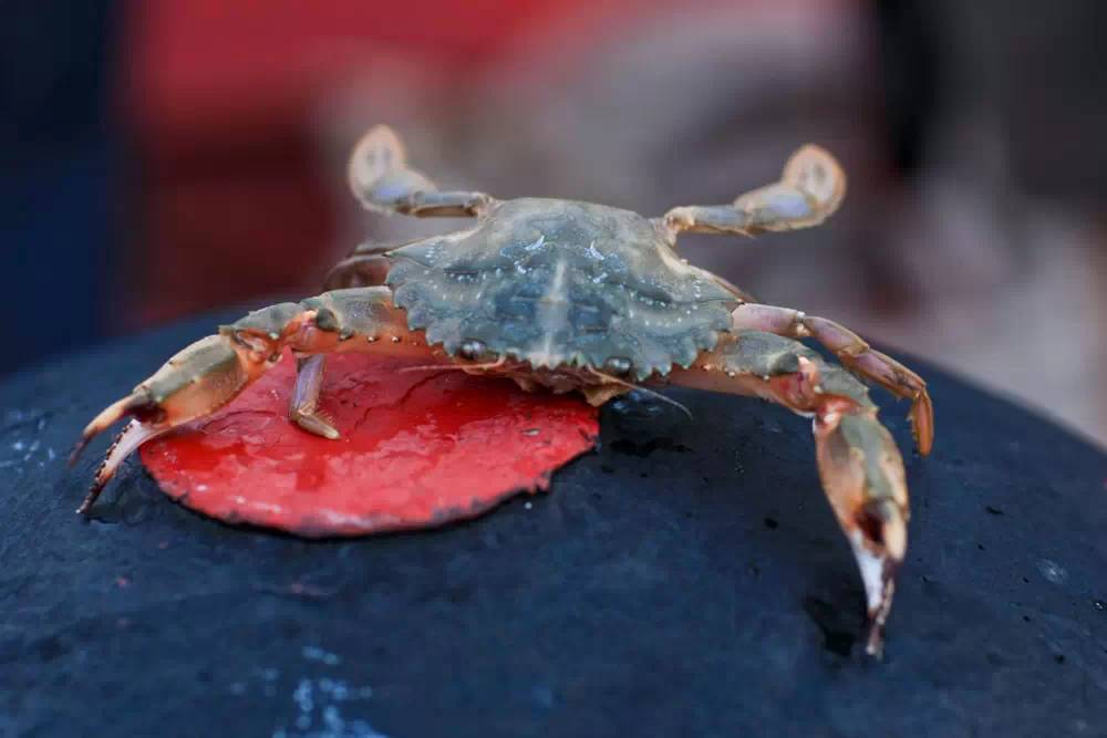 舟山自驾游5天攻略大全图,舟山群岛自驾攻略最佳线路