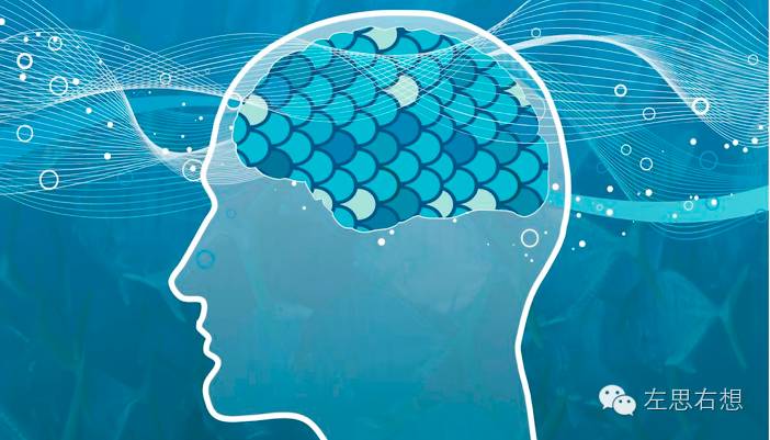 无品味好车,毫无品味可言