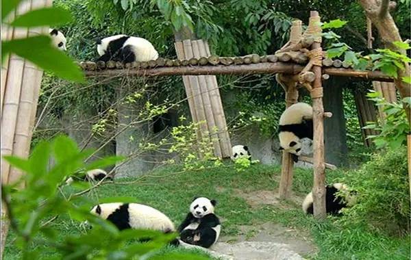 亚洲最长单线铁路隧道,最新高铁最长隧道