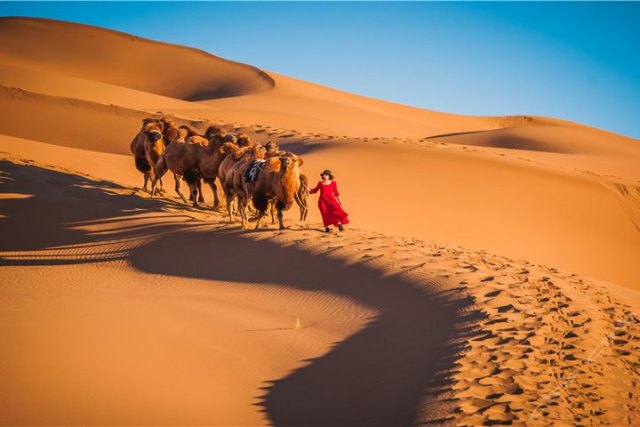 一起去大西北流浪,一起去大西北沙漠