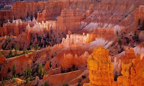 一起去大西北流浪,一起去大西北沙漠